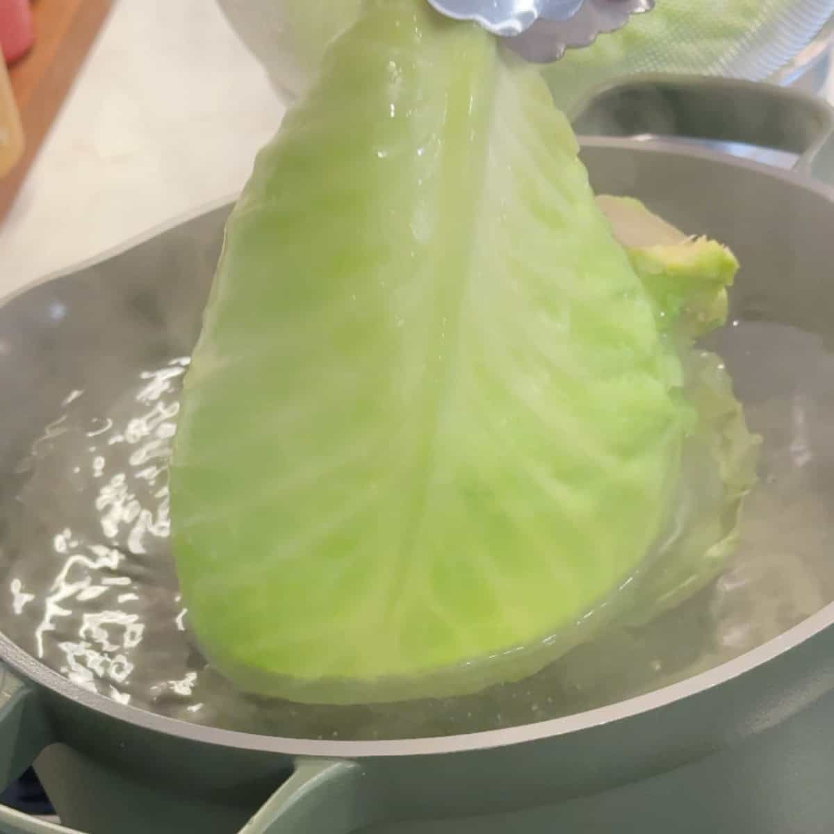 Blanch the cabbage leaves. 