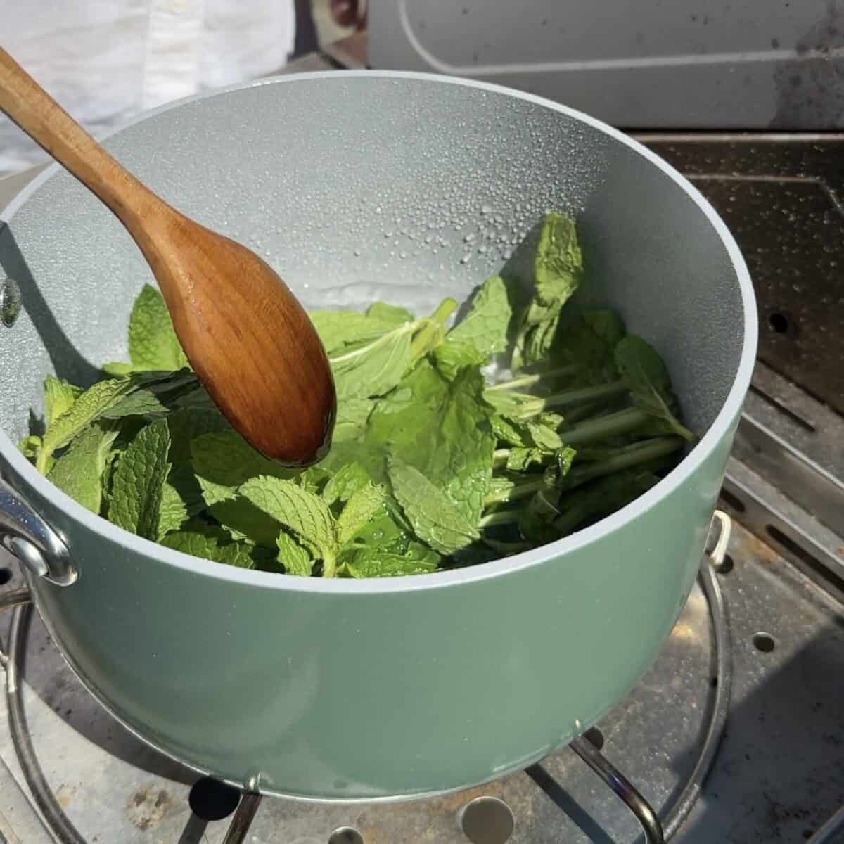 Add the mint and let it sit.