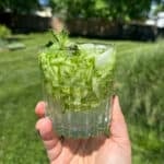 A cup of sekanjabon drink with cucumber.