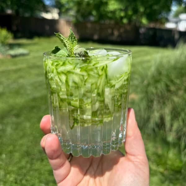 A cup of sekanjabon drink with cucumber.