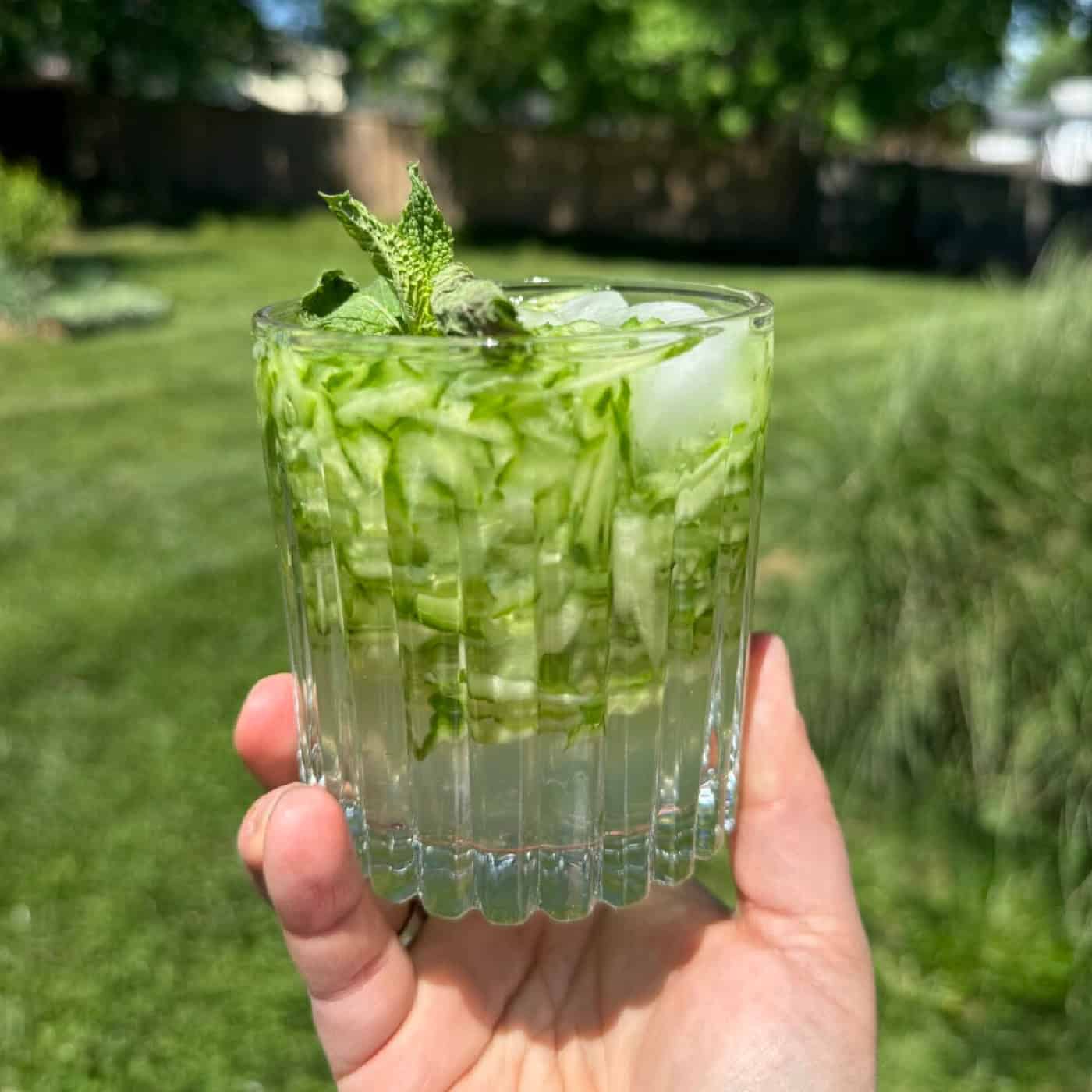 Sekanjabin Recipe