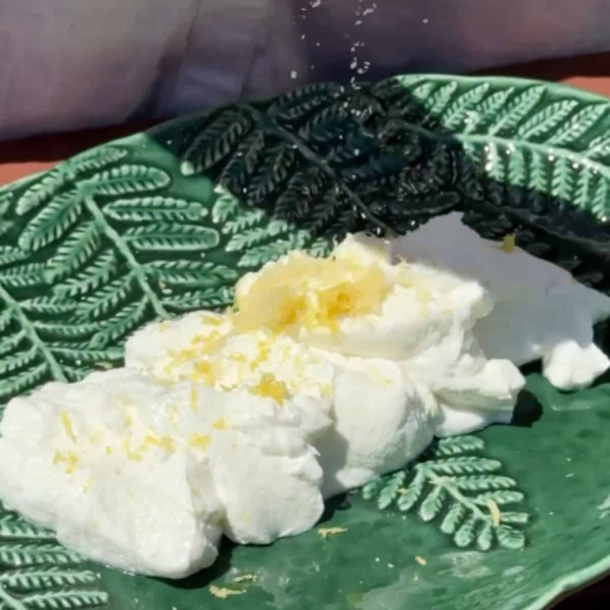 Mix the yogurt with garlic, salt and lemon zest.