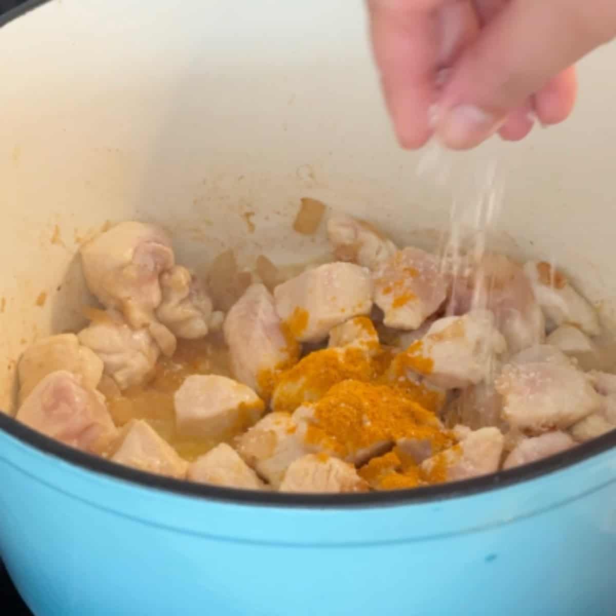 Saute the onion and garlic, add in the chicken and spices. 