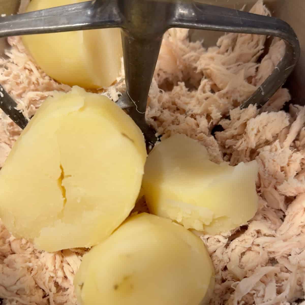 shred the chicken in the food processor add in the potato. 