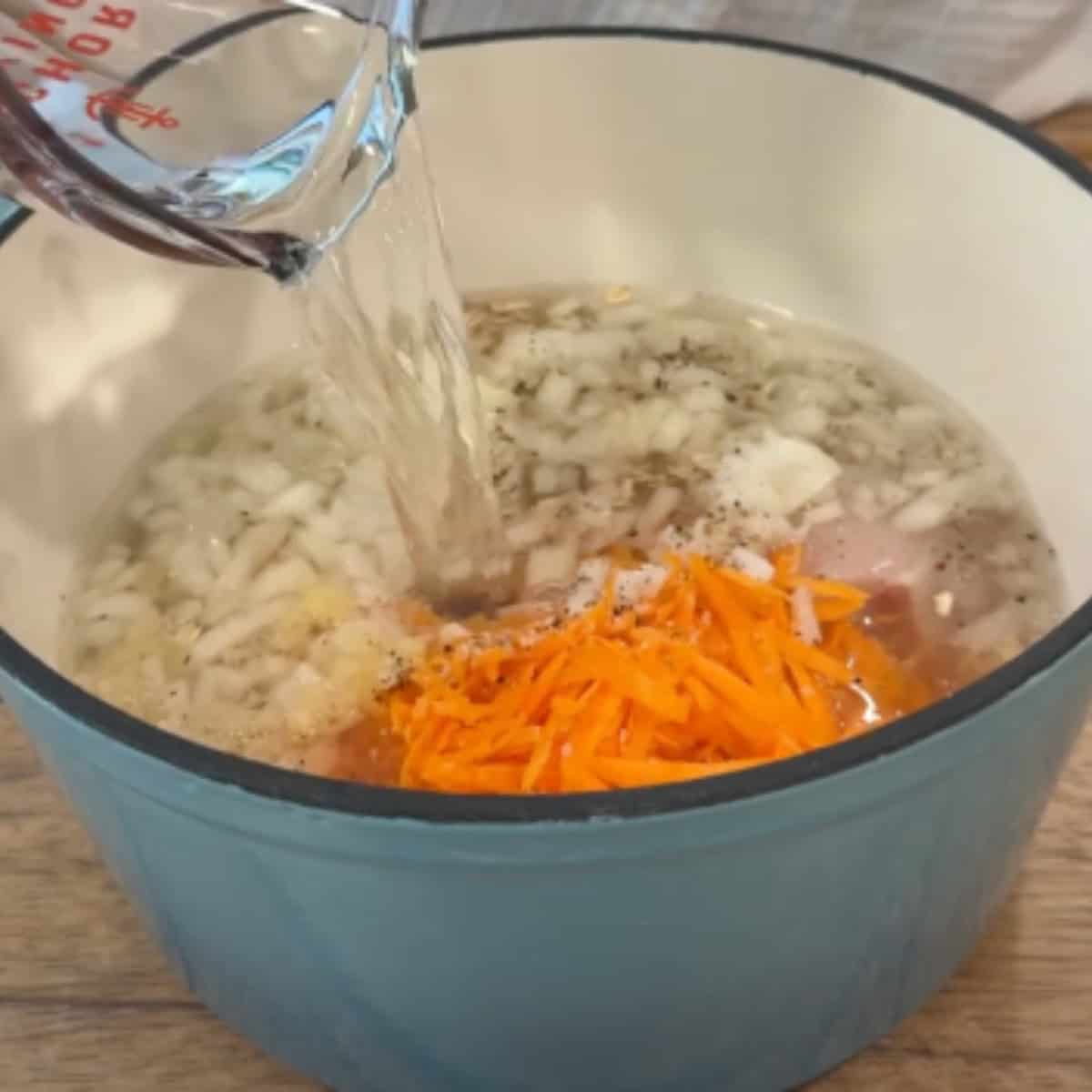 Add chicken, carrots, onion and oatmeal with water to a pot.